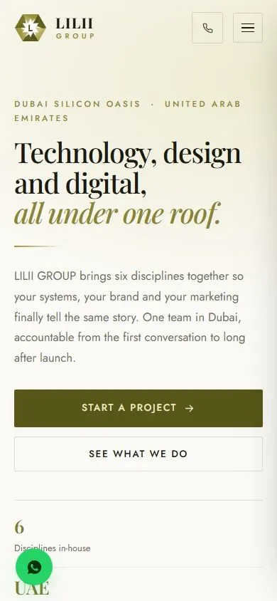 LILII GROUP website on mobile